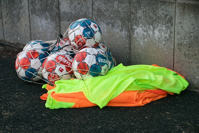 pg旗舰站-pg电子-差异造就差异-软件下载 pg soft